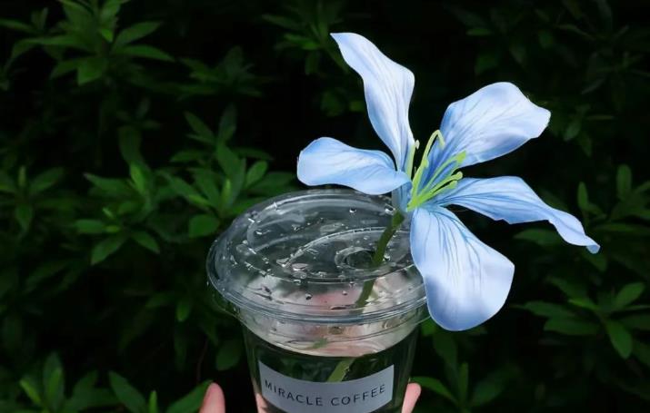 喂饱男人情绪价值，他爱死你!