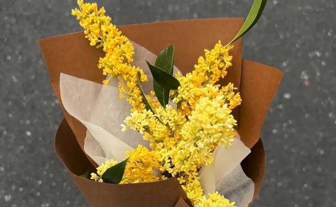 九月最适合发的朋友