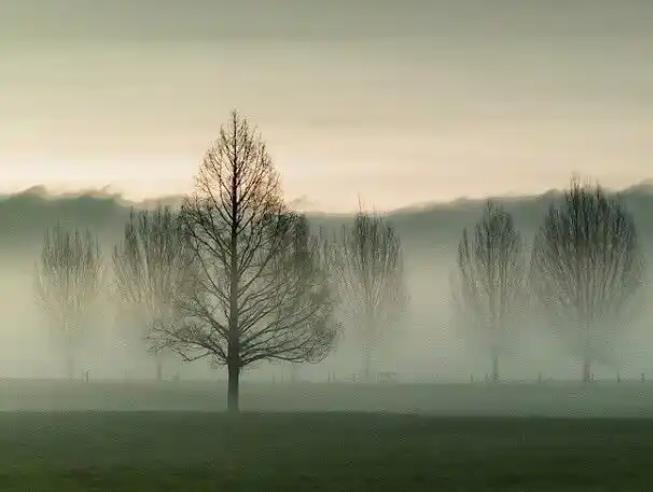 你永远赚不到超出你认知范围之外的钱，除非